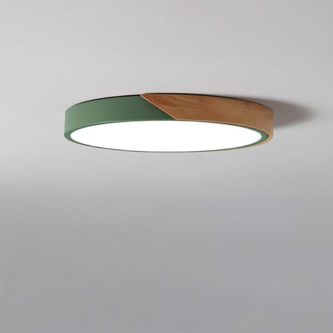 Minimalist LED Ceiling Light 23cm