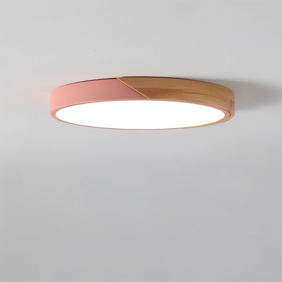 Minimalist LED Ceiling Light 23cm