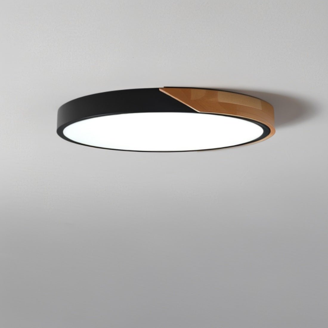 Minimalist LED Ceiling Light 23cm