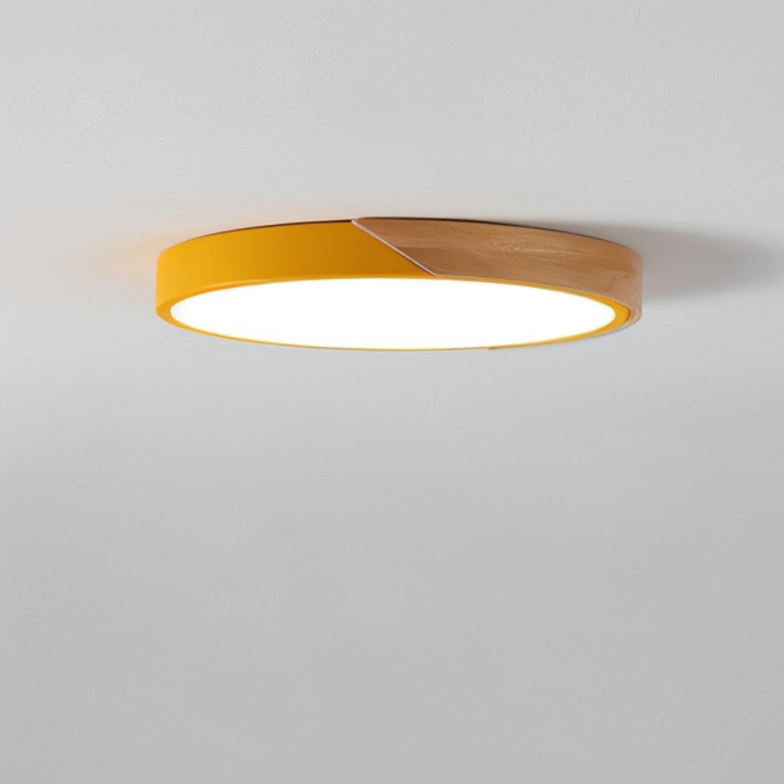 Minimalist LED Ceiling Light 23cm