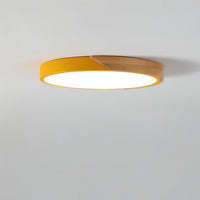 Minimalist LED Ceiling Light 23cm