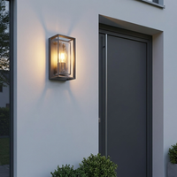Isra lantern outdoor wall light mounted beside a dark grey front door on a pale rendered wall at dusk, lit and throwing a warm wash above and below