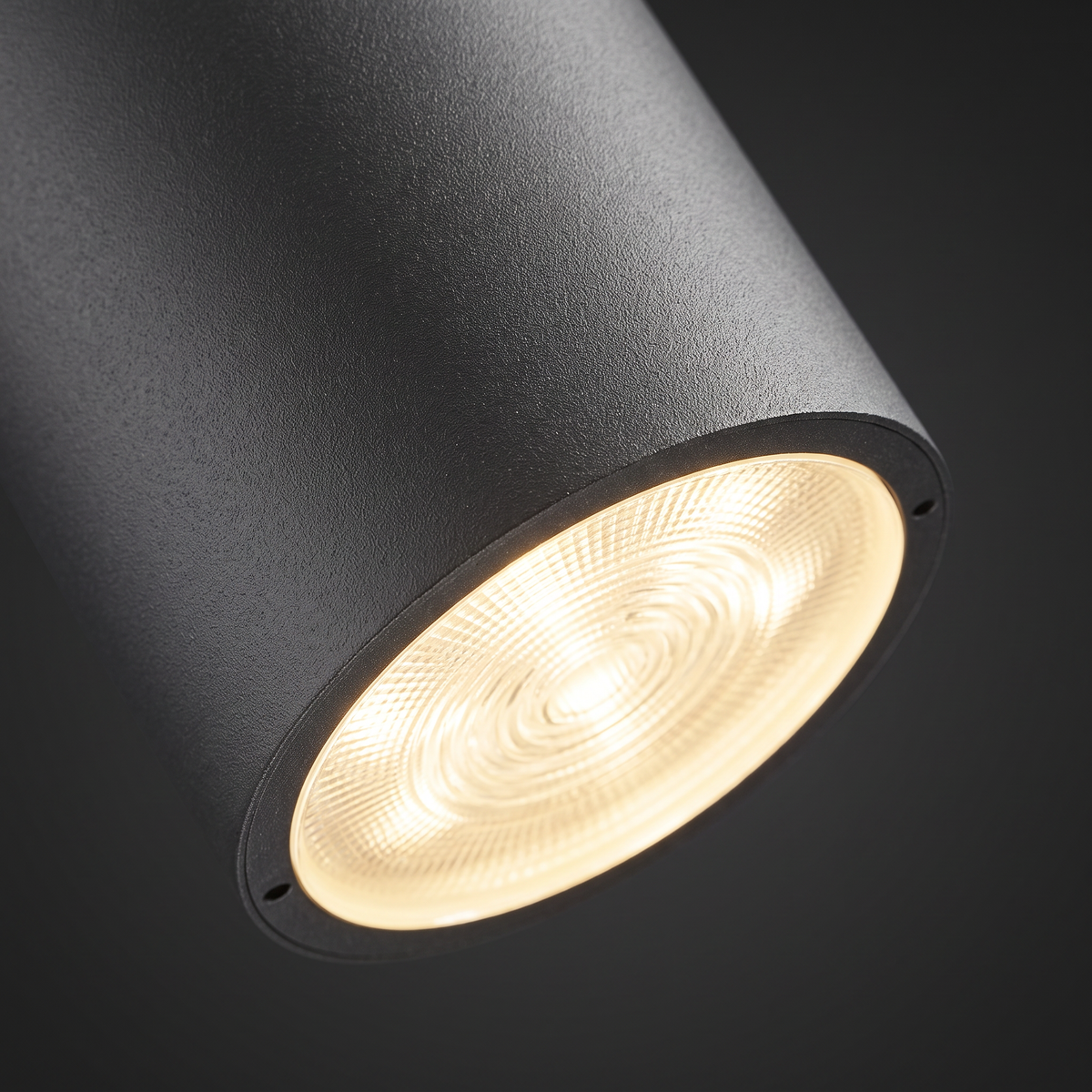 Mero Round Outdoor Ceiling Light - macro close-up of LED diffuser and graphite die-cast body