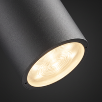 Mero Round Outdoor Ceiling Light - macro close-up of LED diffuser and graphite die-cast body