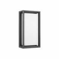Ilia LED Outdoor Wall Light on white background