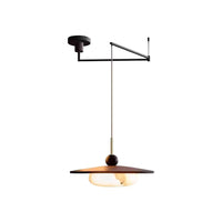 Turlo pendant light shown with a longer suspension drop, black swing arm extending from the ceiling plate
