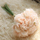 Silk Peony Bundle 26cm