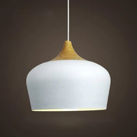 Pastel Dome Pendant Light