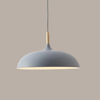 Pastel Dome Pendant Light