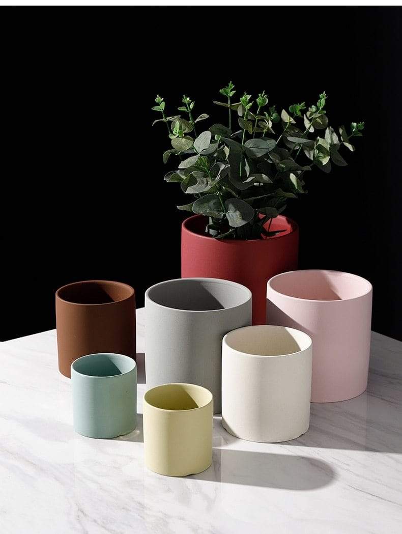 Coloured Ceramic Plant Pots
