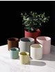 Coloured Ceramic Plant Pots
